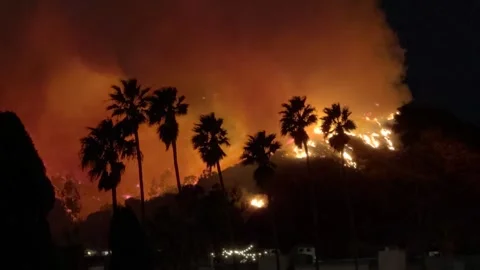4K of Sunset Fire at Runyon Canyon in January 2025, Los Angeles, California Vidéo 303068951