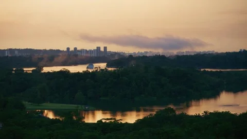 4K Sunset Forest Singapore Stock Footage 337417951