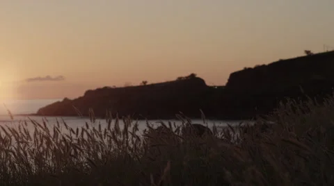4K: Sunset Pan Over Ocean and Foxtails/Gleams Stock Footage 67899250