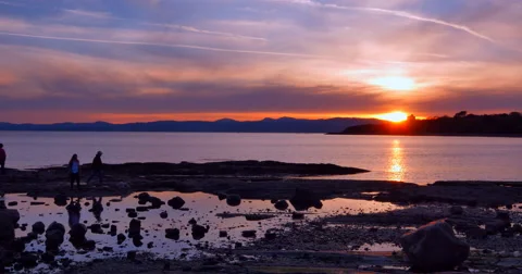 4K Sunset Reflection on Tidal Pools and Rocks on Ocean Stock Footage 49785242