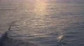 4k Sunset reflection on water near beach 4k or 4k+ Resolution