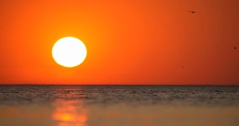 4K - Sunset in the sea Stock Footage 118161448