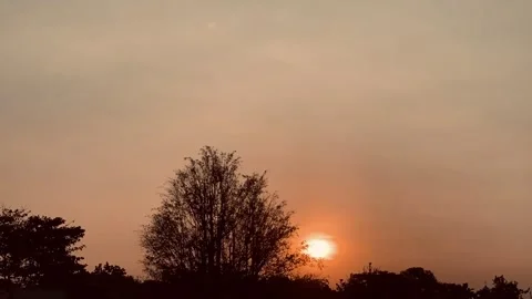 4K Sunset Time-Lapse of Glowing Orange Sun Above Silhouetted Trees Stock Footage 342336106
