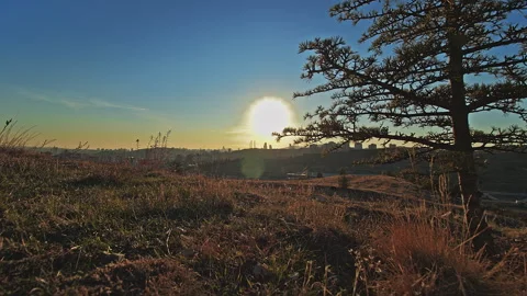 4K Sunset Time Lapse Over Hill with Tree and Urban Skyline | Cinematic Landscape Stock Footage 320323144