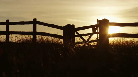 4K Sunshine seen through a gate in a field at sunset Stock Footage 63904598