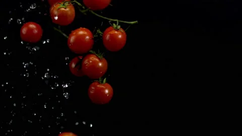 4K Super 1000 FPS Super Slow-Mo Of Cherry Tomatoes Floating In Air Stock Footage 151446852