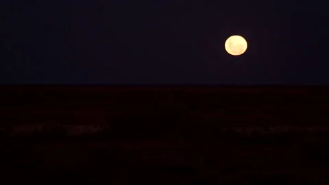 4k Supermoon Australia Stock Footage 157376111