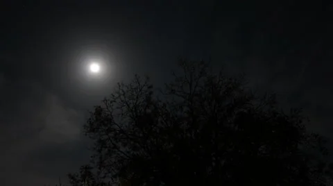 4K Supermoon Full Moon and Tree Timelapse Scary Scene 1 Stock Footage