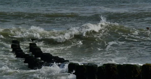 4K, Surfing, ocean, waves Stockbeeldmateriaal 46689133