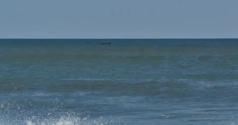 4K, Surfing, ocean, waves Stockbeeldmateriaal 46689546