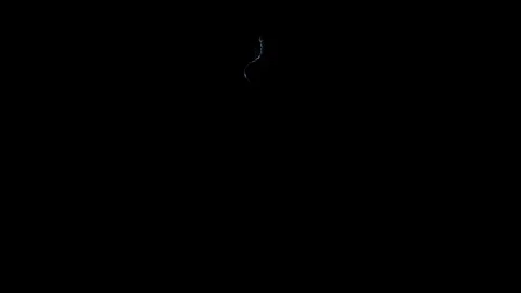   4K Sustained High Voltage Lightning Strike Overlay on Black Background Stock Footage 344403421