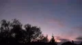 4k Swarm crows flying to city after sunset and bat awakes 4k or 4k+ Resolution