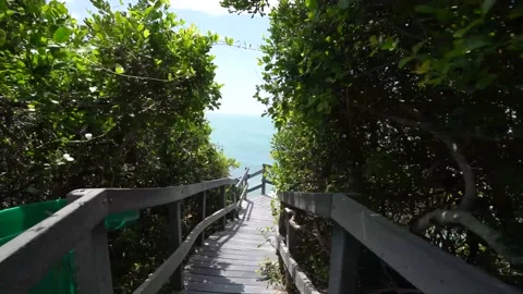 4K Sweep from side to side over a rustic boardwalk Stock Footage 221427848