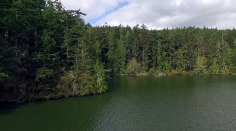 4k sweeping pan of evergreen forest and lake Stock Footage 69009467