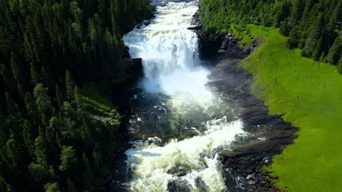 4k Tannforsen 2 Video stock 201917024