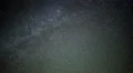 4K Taurids Meteor Shower 02 Milky Way Time Lapse Mojave Desert 4k or 4k+ Resolution