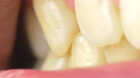 4K Teeth Closing Macro Closeup Stock Footage 47167658