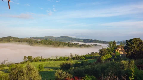 4K template Stock Footage 308090084