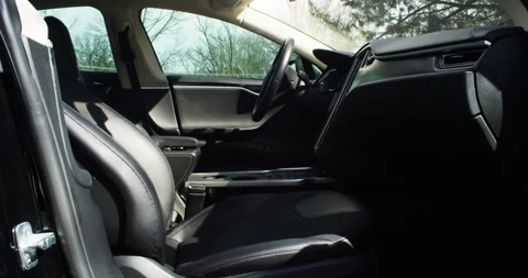 4k Tesla Model S interior trees blowing in the window from passanger side Stock Footage 137612390