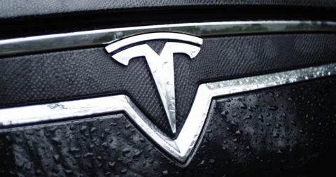 4k Tesla Model S Pan of Front logo Stock Footage 137625407