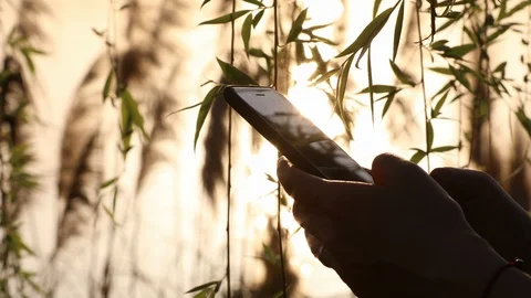 4K - Texting in nature Vídeo Stock 105944226