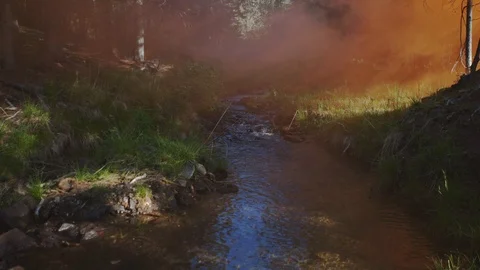 4k. Thick white fog over the river in the forest Stock Footage 123543877
