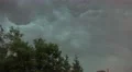 4k Thunderstorm with strong moving trees city backstreet 4k or 4k+ Resolution