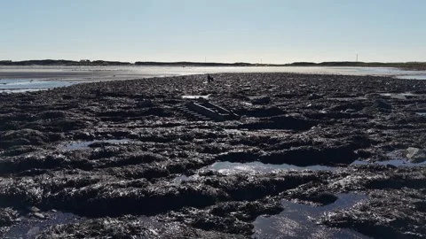 4K Tide Pools at Tromora West Bay Beach Clare 動画素材 333703748