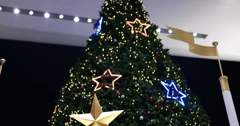 4K Tilt up . Christmas tree Stock Footage 172289546