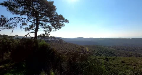 4k tilt right horizontal Pano video. View of forest, sea, and city under a blue Stock Footage 145689455