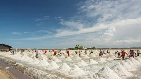 4K Time-lape,Workers harvesting salt in salt fields. Stock Footage 60786845