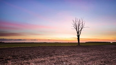 4k time-lapse of after sunset sky over plowed field and dead tree Stock Footage 73562569
