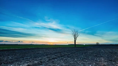 4k time-lapse of after sunset sky over plowed field and dead tree Stock Footage 73562610