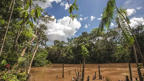 4K Time Lapse - Amazon Tides - Belém - PA - Brazil Stock Footage