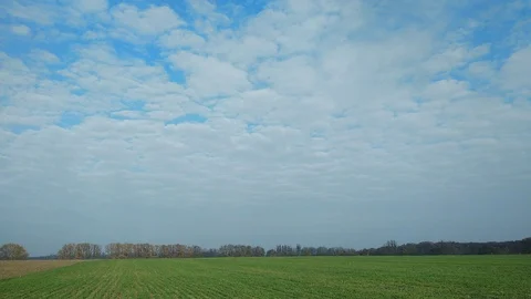 4k Time Lapse. Autumn trees on the background of a nasty cloud and a green field Video stock 97796480