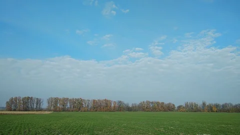 4k Time Lapse. Autumn trees on the background of a nasty cloud and a green field Video stock 97796742