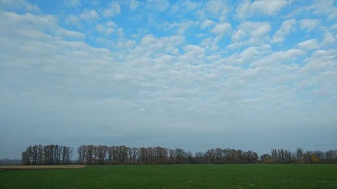 4k Time Lapse. Autumn trees on the background of a nasty cloud and a green field Stock Footage 97797031