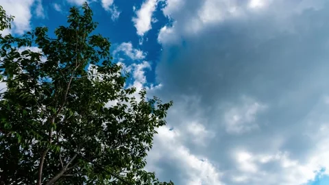 4k time lapse beautiful blue sky with isolated tree and cloud background.Sky Stock Footage 131512751