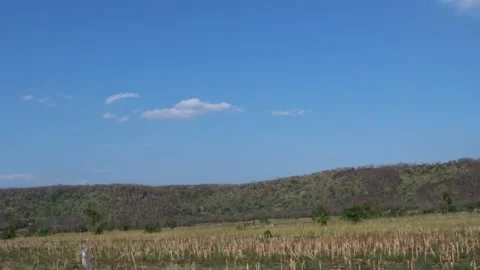 4K Time lapse, beautiful cloud movement Stock-Footage 174214133