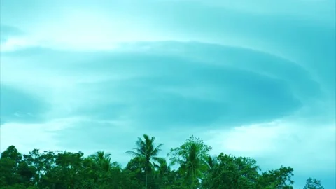 4K Time Lapse Black cloud and foliage blowing in the wind from day to dark 動画素材 150132200