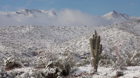 4K Time lapse of blue sky, a Saguaro and low clouds below snowy desert peaks Stock Footage 146991631