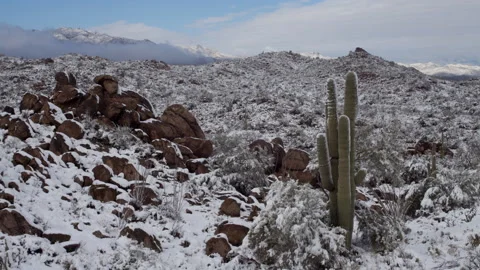 4K Time lapse of blue sky, a Saguaro and low clouds below snowy desert peaks Stock Footage 147058082