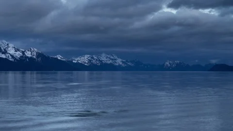 4K time lapse of blurred motion sea lions in Resurrection Bay in Seward, Alaska Stock Footage 243155975