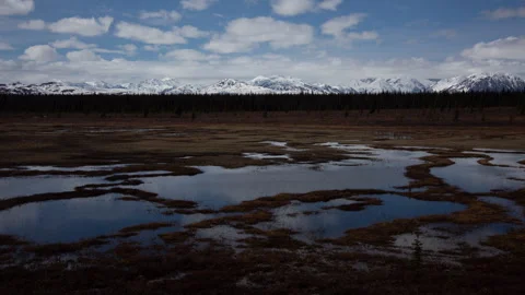 4K time lapse of cloud shadows on Alaskan wetlands, pines and snowy mountains Stock Footage 242466691