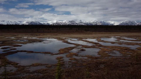 4K time lapse of cloud shadows on Alaskan wetlands, forest and snowy mountains Stock Footage 242469027