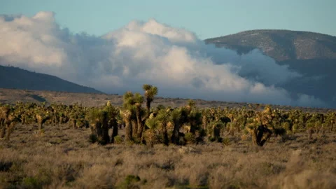 4K Time Lapse Of Clouds blowing through A Windy Tehachapi Mountain Pass Stock Footage 155415219