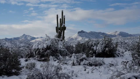 4K Time lapse of clouds in blue sky above a snowy Saguaro and desert landscape 스톡 동영상 147060048