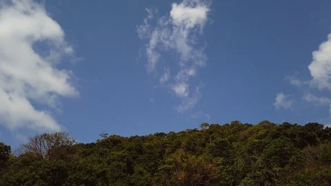 4K Time lapse of clouds fly on blue sky above tree line. Sunny summer day. Video stock 129664007