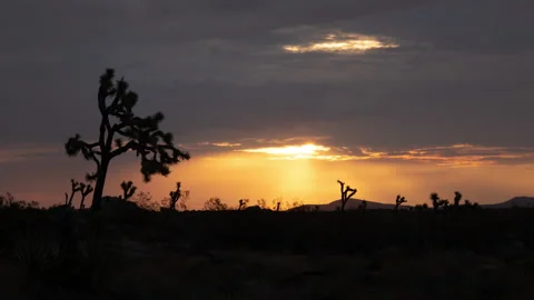 4K Time lapse of clouds obscuring the sunrise in  Joshua Tree National Park Stock Footage 202287971