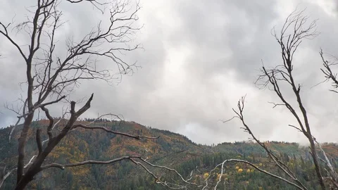 4k Time Lapse of Clouds Over A California Mountain Range Stock Footage 69777573